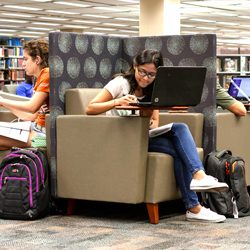 Students studying in the library.